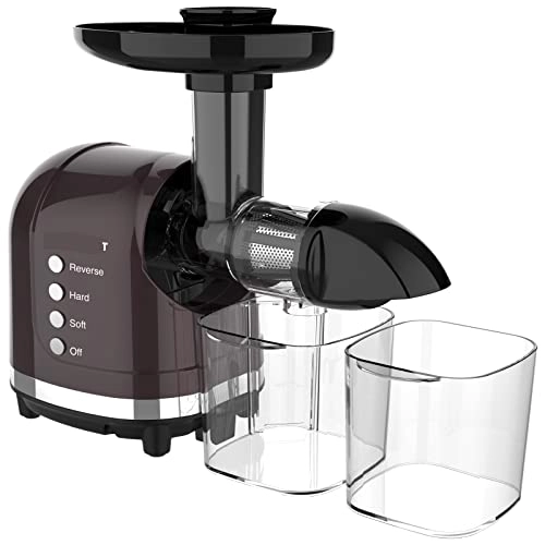Slow Speed Juicer - 250W