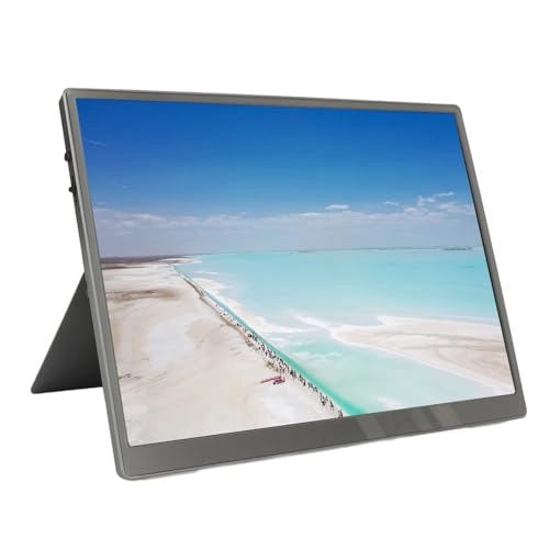 Portable Monitor - Full HD 10.5inch