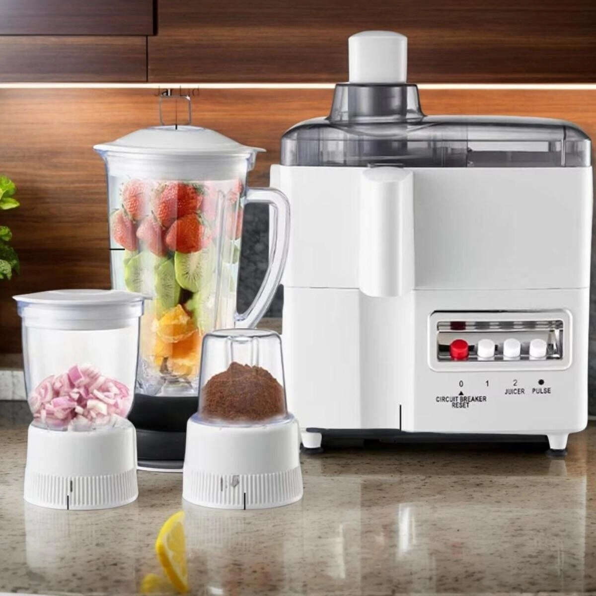 4 in 1 Juicer Blender Grinder Mixer