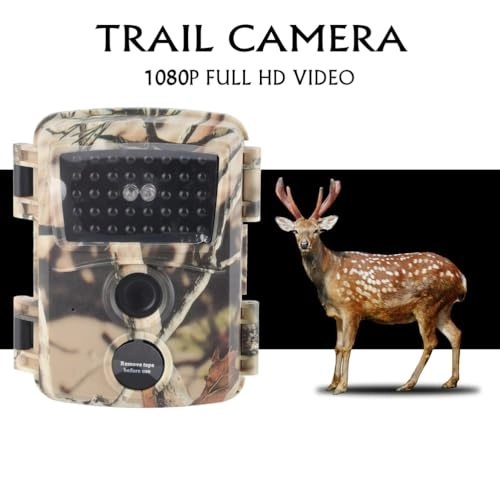 vf3atimoc9-68 - 20MP