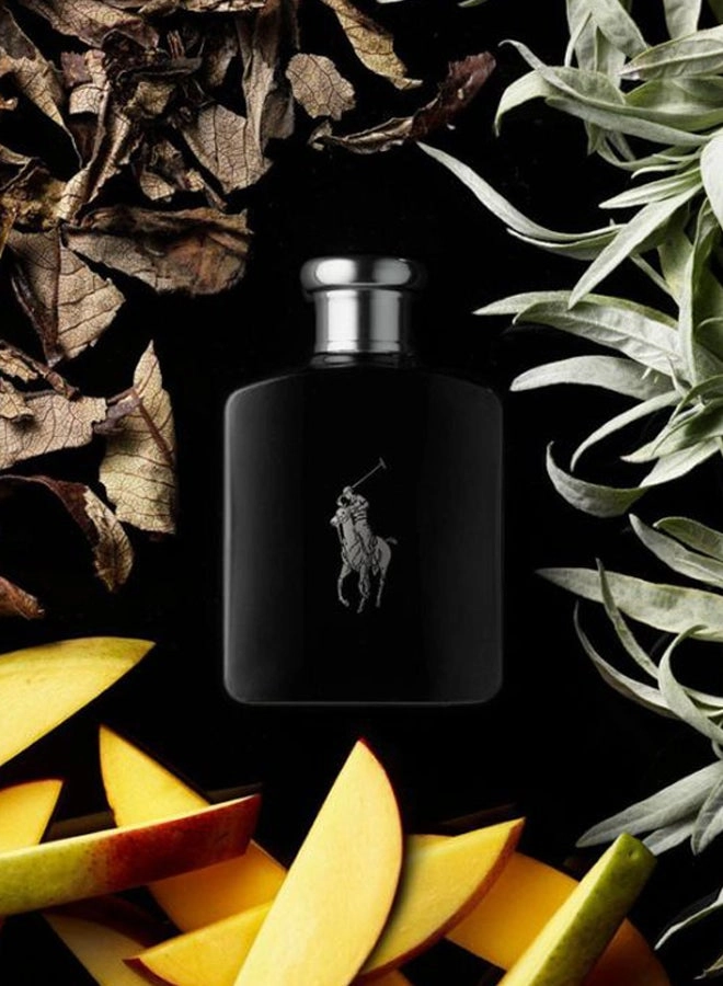 Polo Black Eau de Toilette 125ml