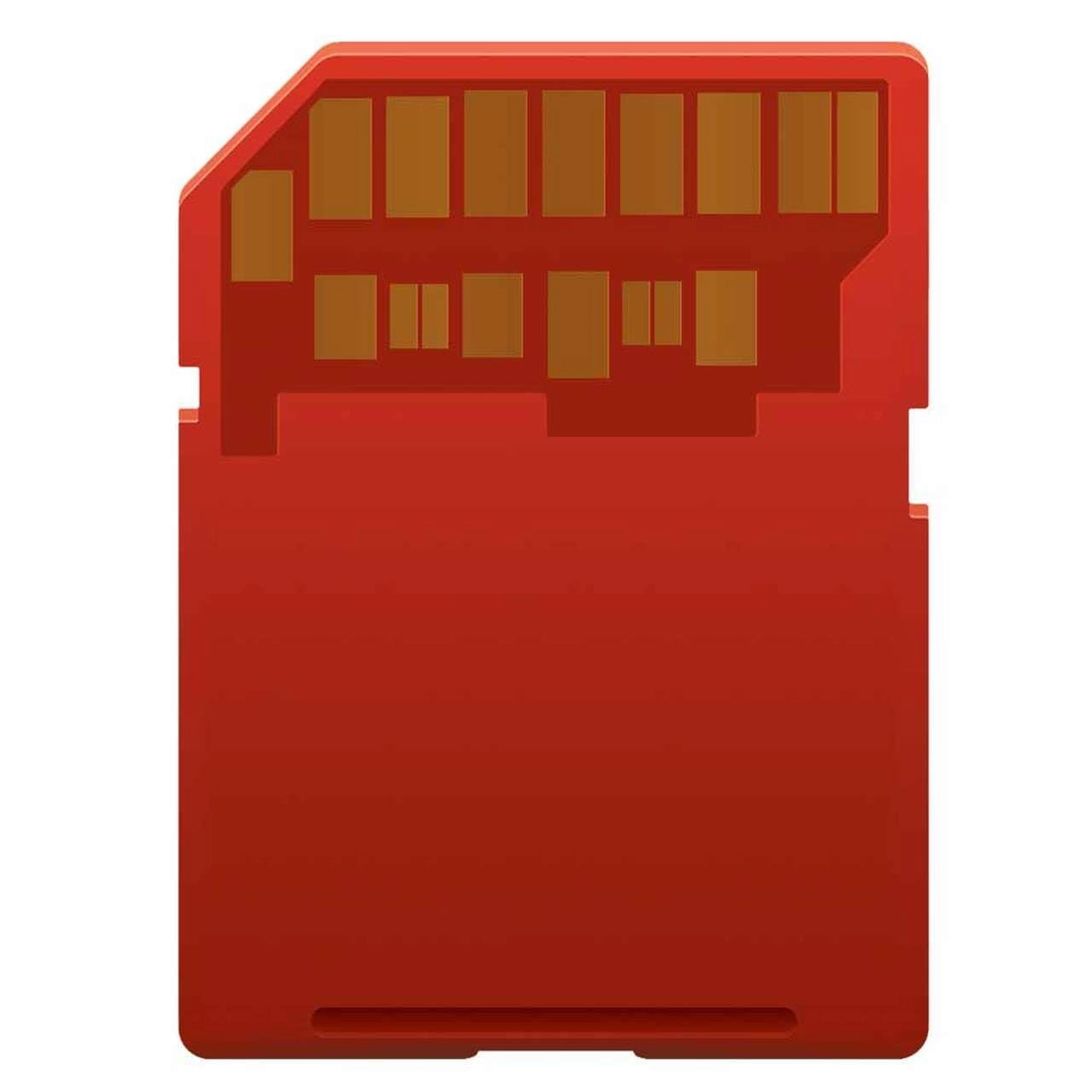 SDXC Advanced - 64GB