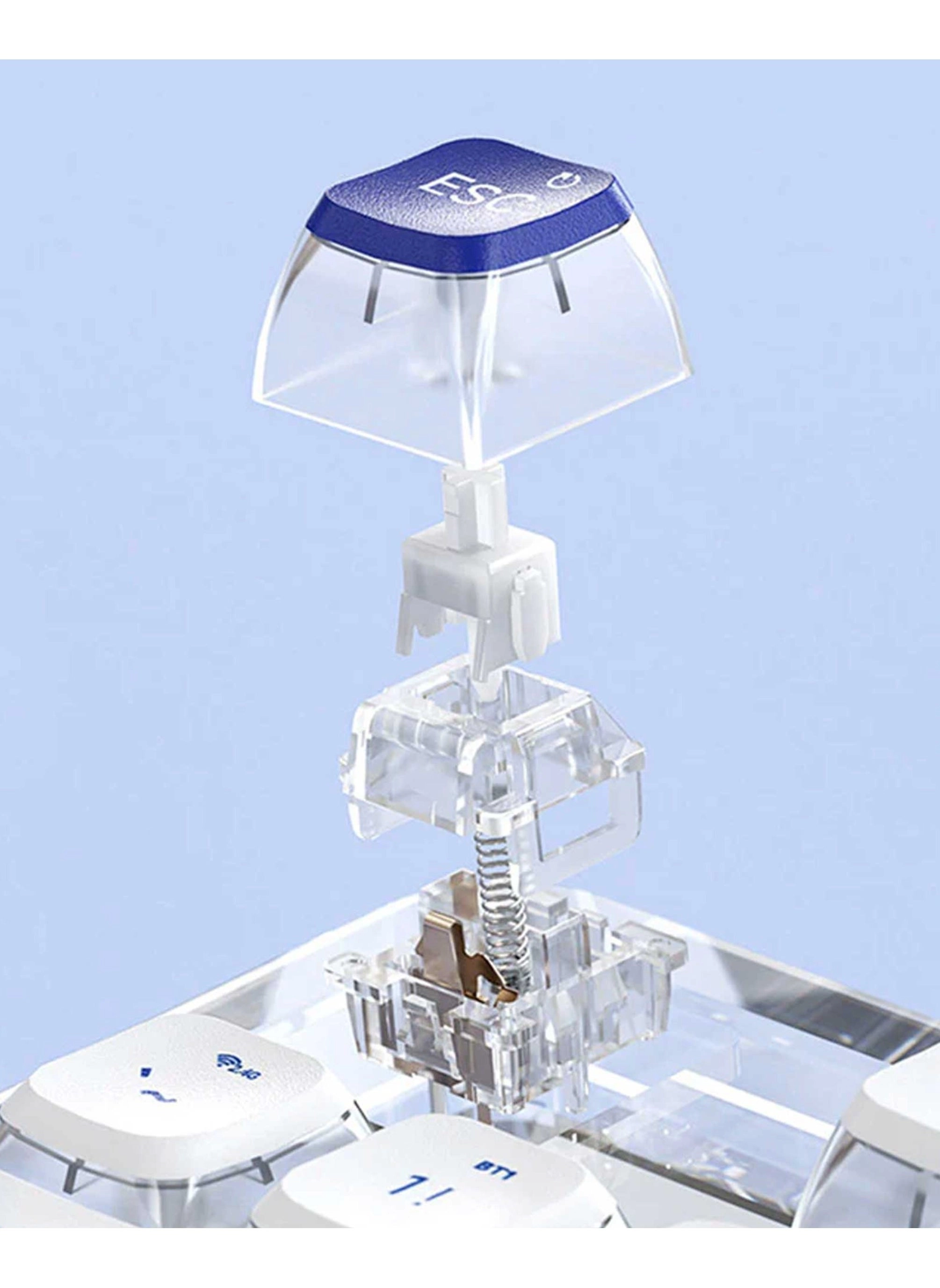 K81 - EN Wired/Wireless