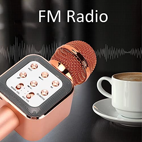 Microphone Speaker - 5W