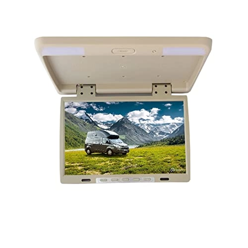 Car Ceiling Display - 19 Inch
