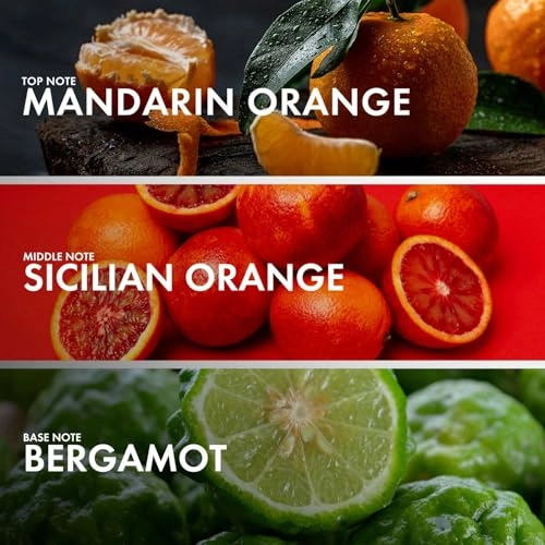 BERGAMOT VETIVER Eau de Parfum 50ml