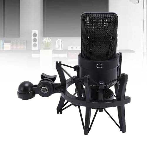 Diaphragm Condenser Studio Microphone XLR Microphone