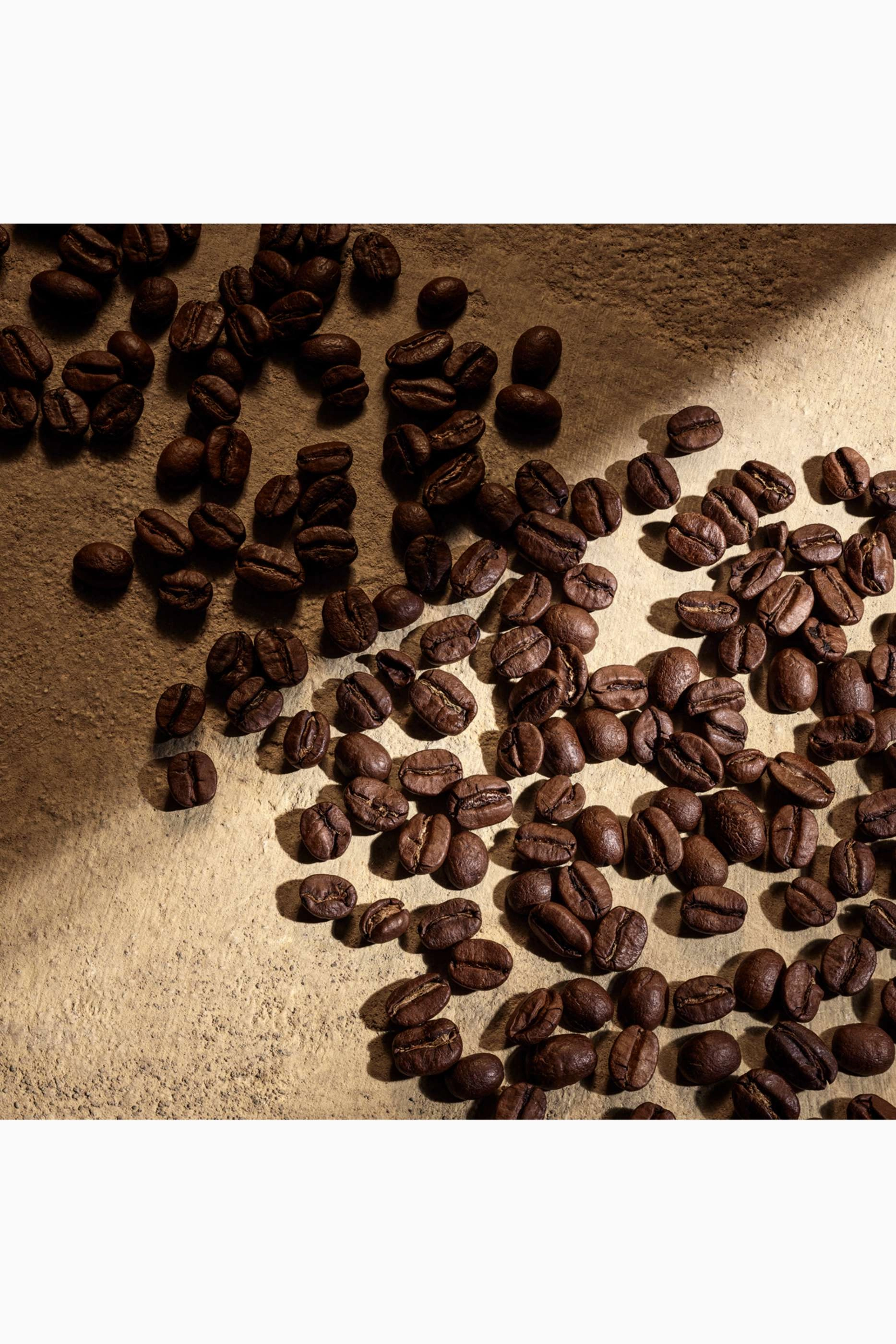 Devotion Pour Homme Parfum - 50ml