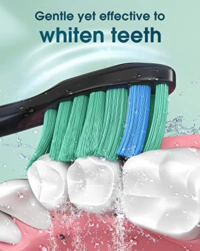 Y01 - 6 Brush Heads Type C 180 Days