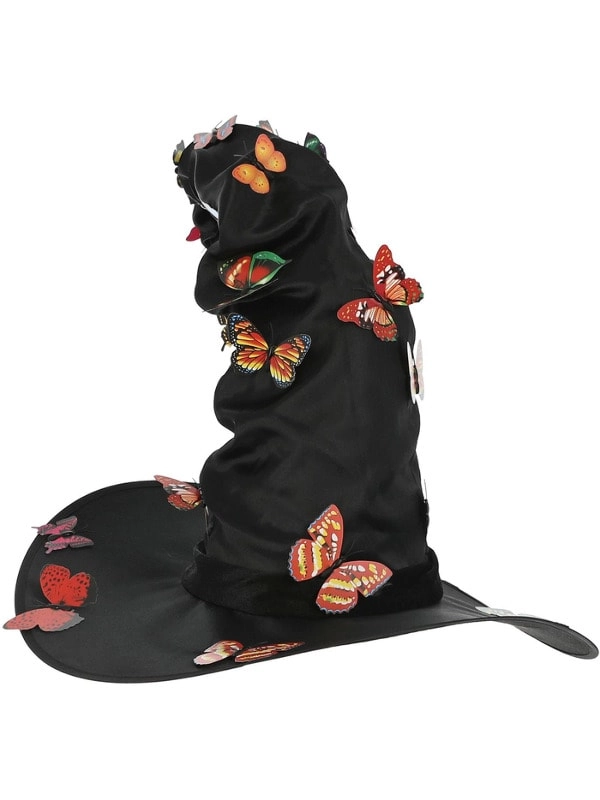 Butterfly Witch Hat