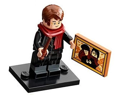 Harry Potter LEGO Series 2: James Potter (71028)