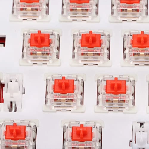 Mechanical Keyboard - Wired/Wireless