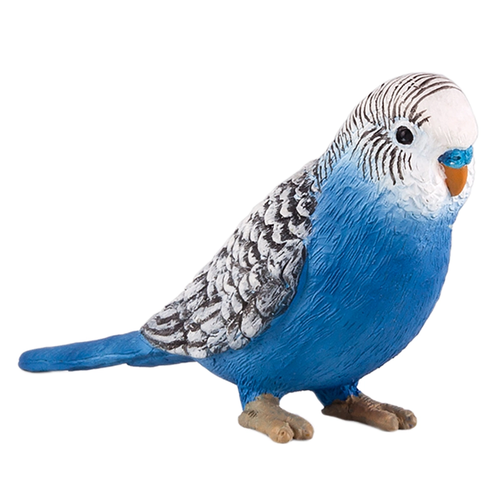 Mojo Budgerigar (DD-387262)