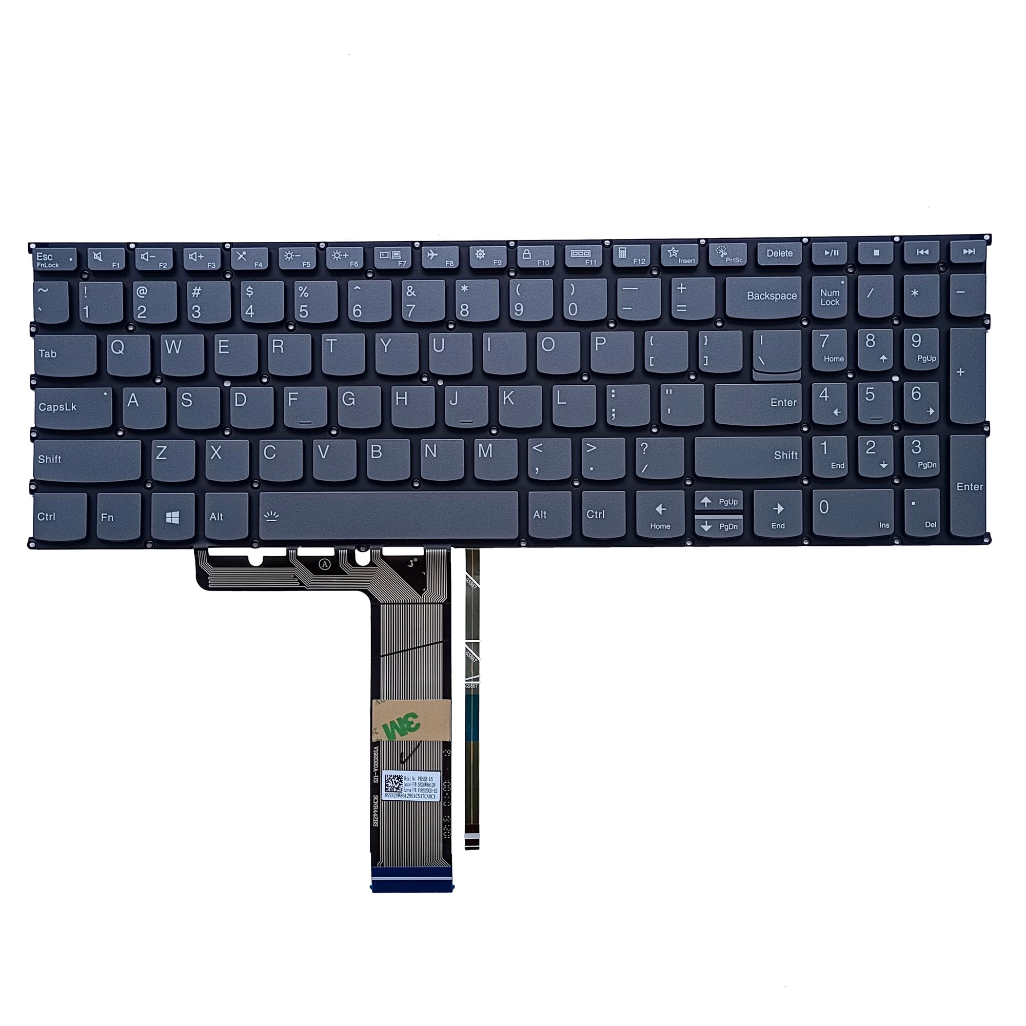 FOCUS COMPUTERS AND ELECTRONICS LIMITED Backlit Keyboard - US English Grey Key Cap