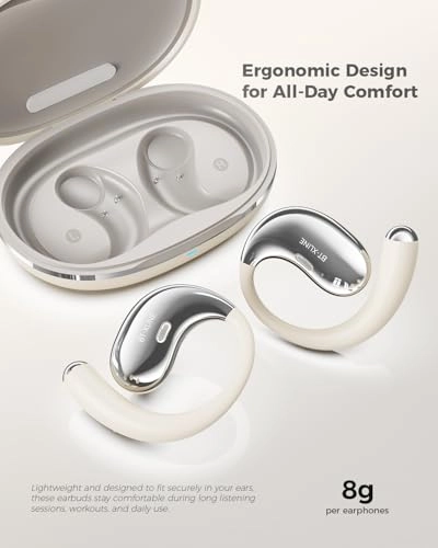 BT-X Wireless Headphone