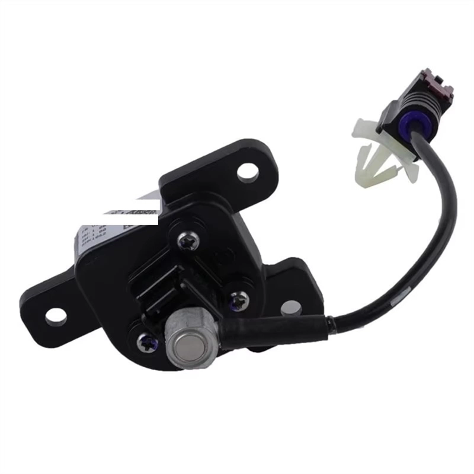 Rear View Backup Camera
