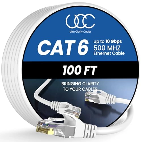 Cat 6 Ethernet Cable - 100 ft