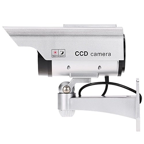 Dummy - Indoor Outdoor