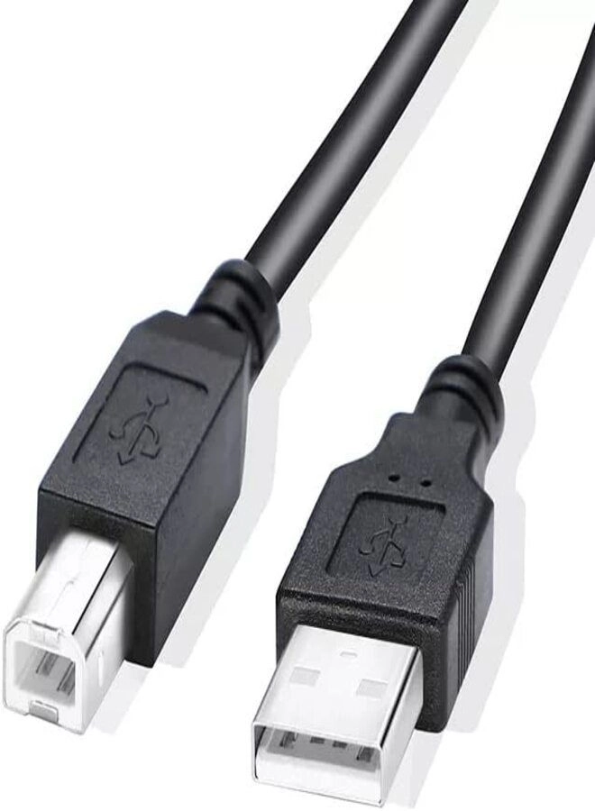 Standard Cable Type A to Type B 1m