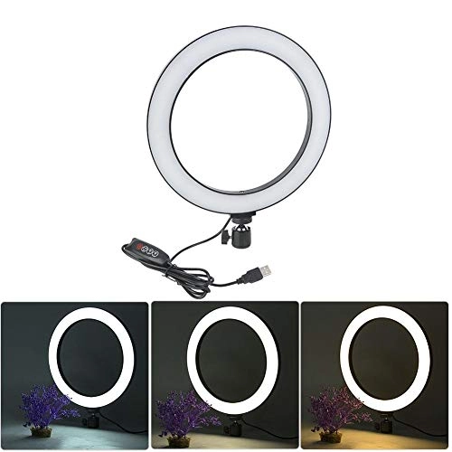 LED Ring Light - 10 inch