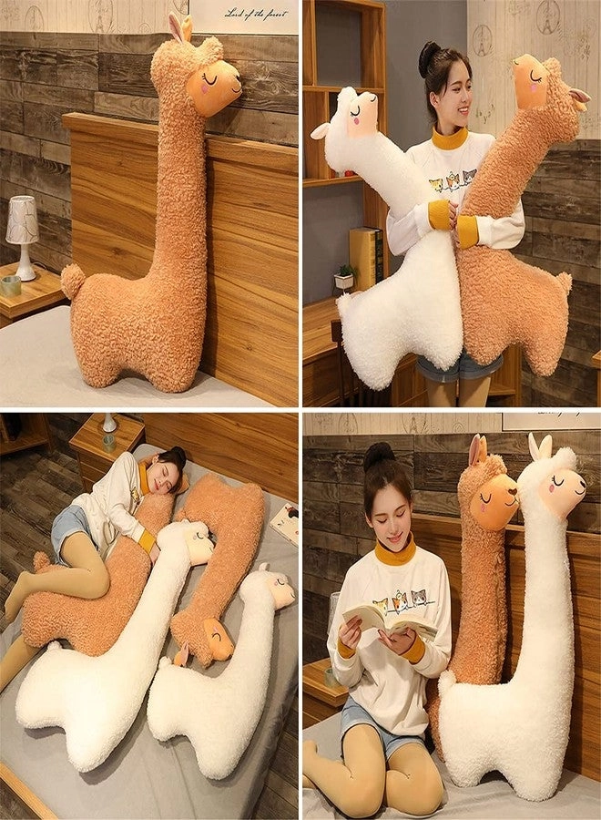 Alpaca - 75 cm