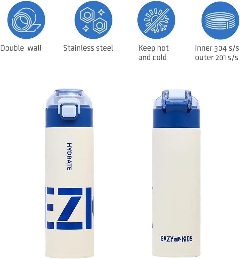 Insulated Stainless Steel Travel Water Bottle - 550ml