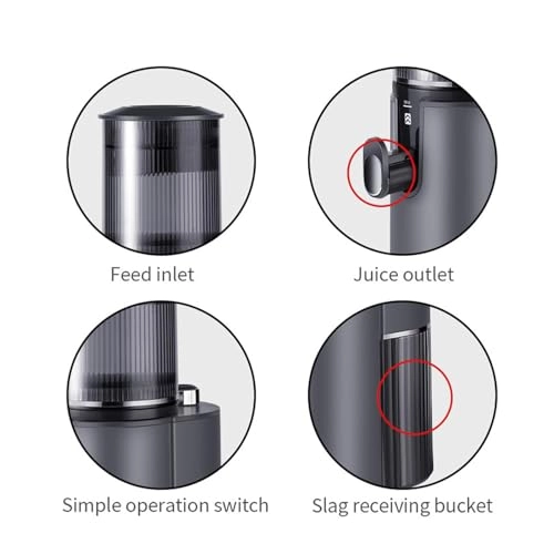Masticating Juicer - 350W