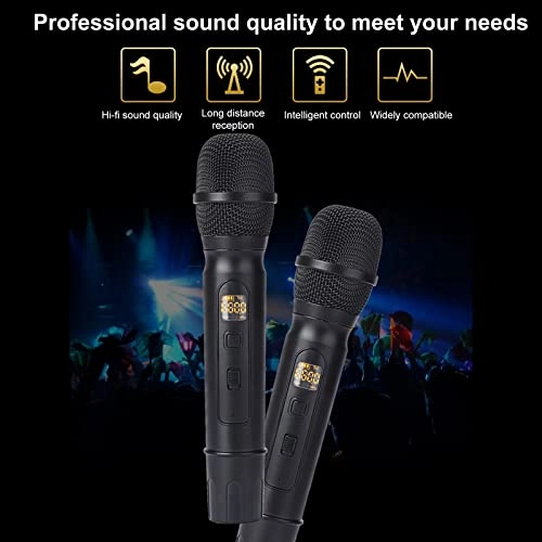 Microphone Set USB Microphone