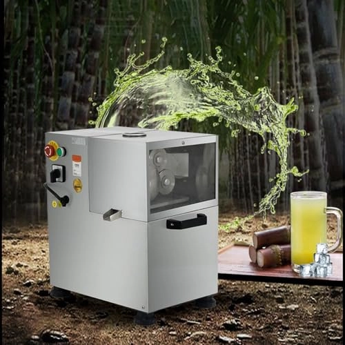 Commercial Electric Sugarcane Juicer - 800W