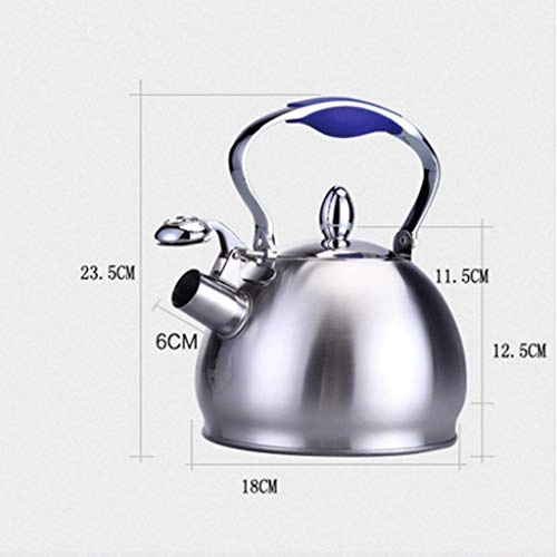 Stainless Steel Kettle - 2.5L