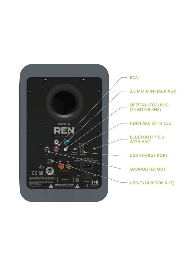 REN - 100 W