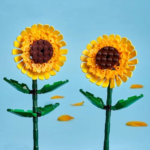 Sunflowers (40524)