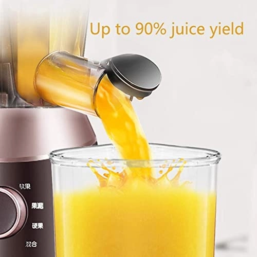 Masticating Juicer - 150W