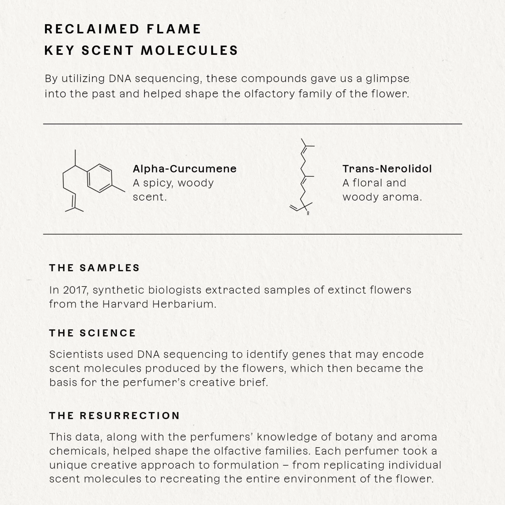 Reclaimed Flame - Eau de Parfum 50ml