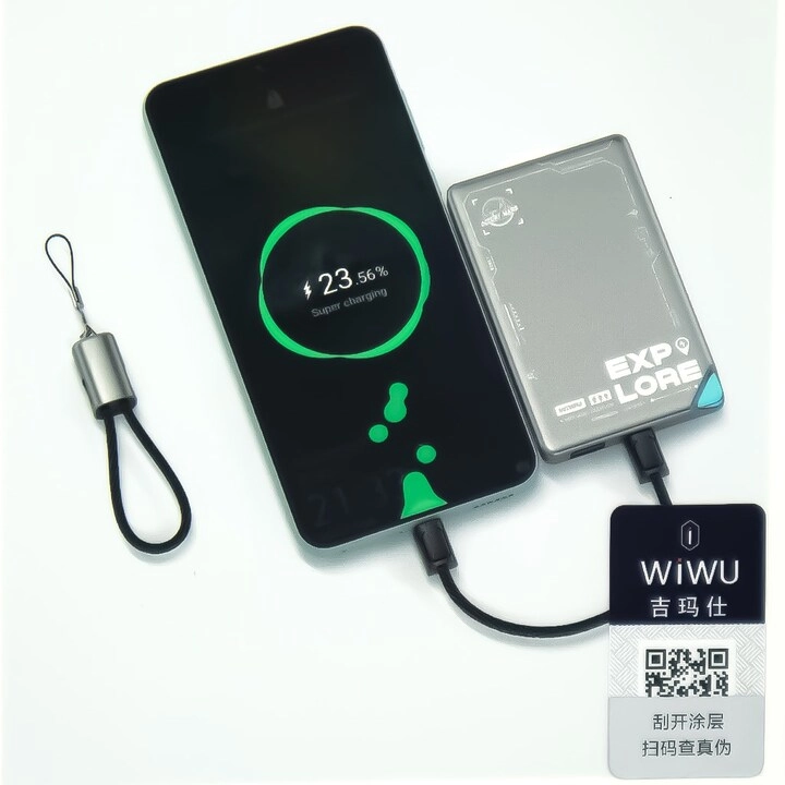 Charge Cable 100W USB-C to USB-C 0.2m Braided