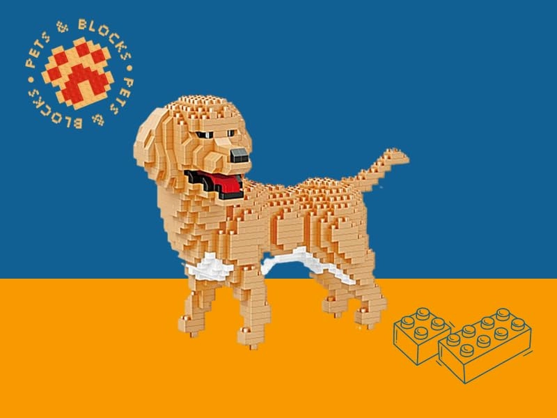 Golden Retriever Dog - 824 pcs