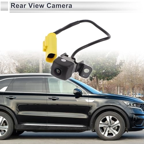 Rear License Plate Camera - Night vision
