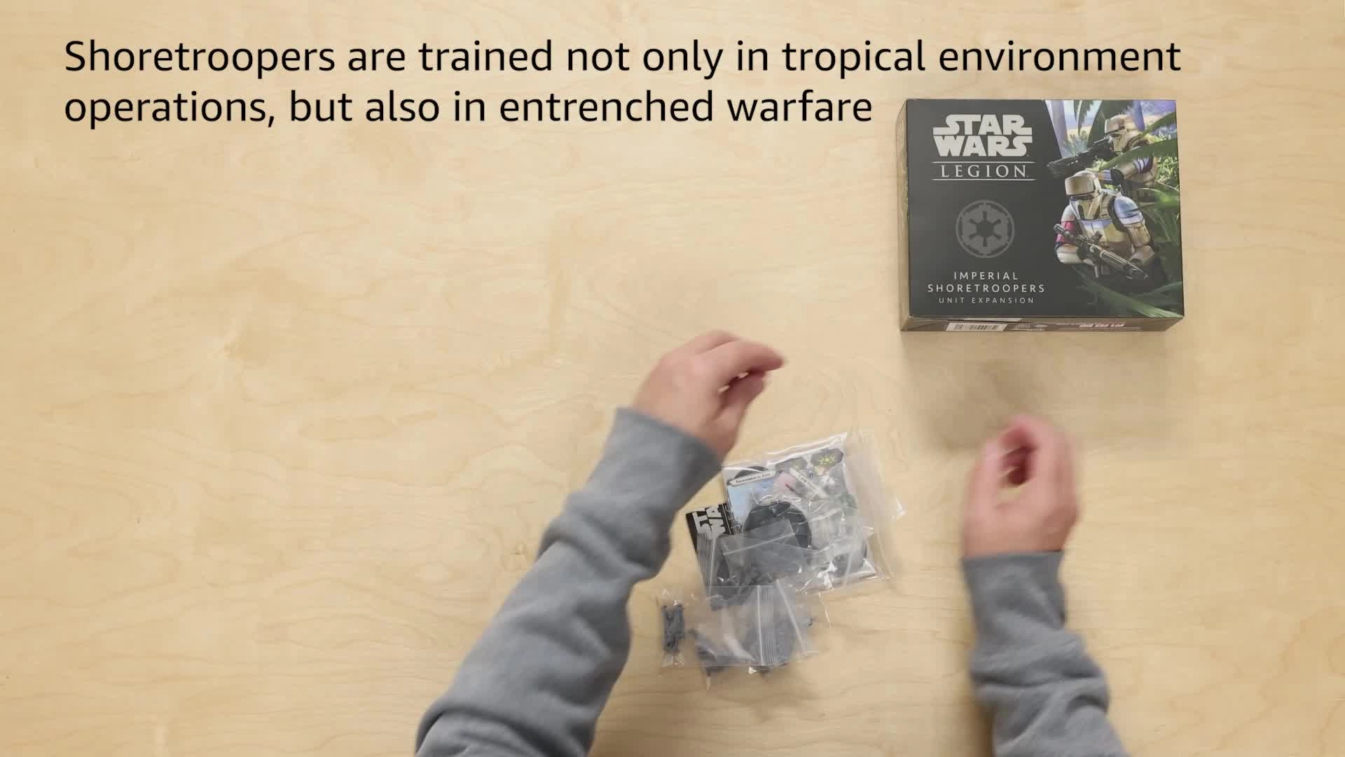 Star Wars Legion: Imperial Shoretroopers Unit