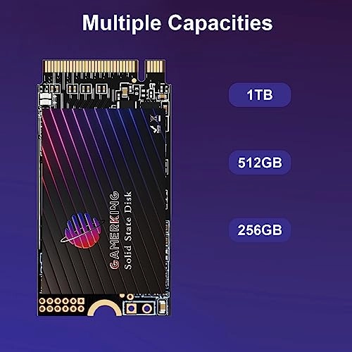 SSD - 500GB M.2 2242
