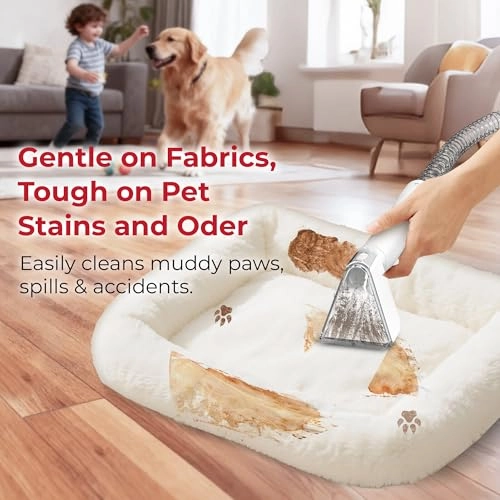 RHFC-25003 - Spot Cleaner 600W