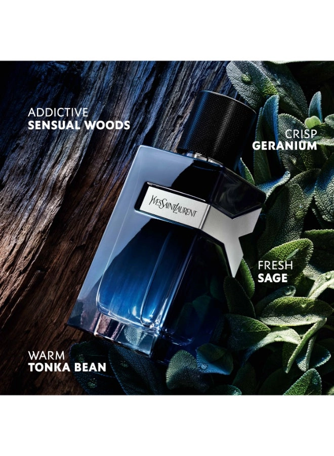 Y Absolu Eau de Parfum 100ml