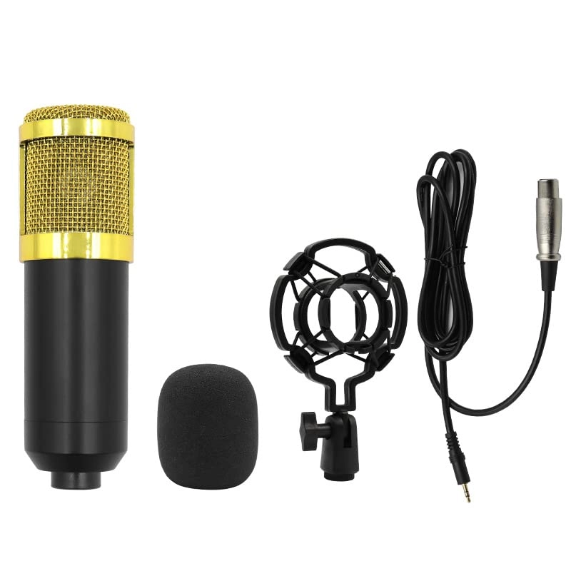 Generic Sound Card + Microphone Wired Microphone