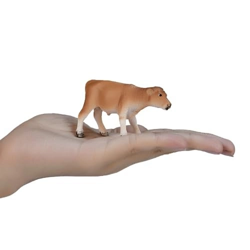 Jersey Calf - 3+ yr(s) 1 piece(s)