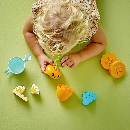 My First Growing Carrot (10981) - DUPLO Stacking