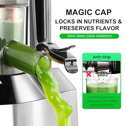 Masticating Juicer - 240W 0.6L