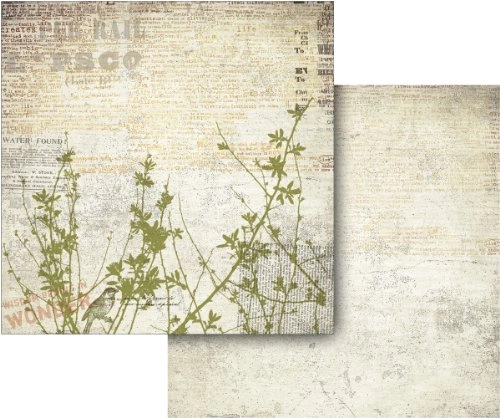 19407 - 14 years and up