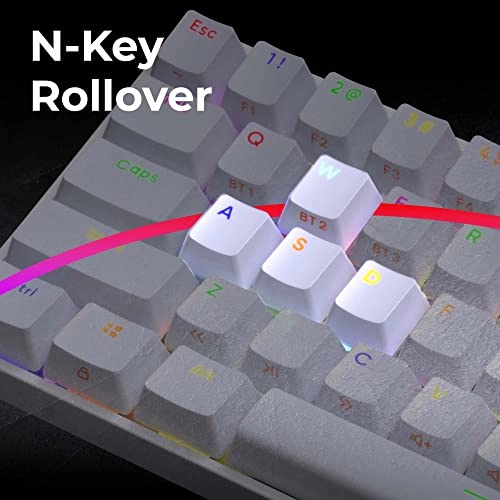 ZEB-MAX NINJA - Wireless