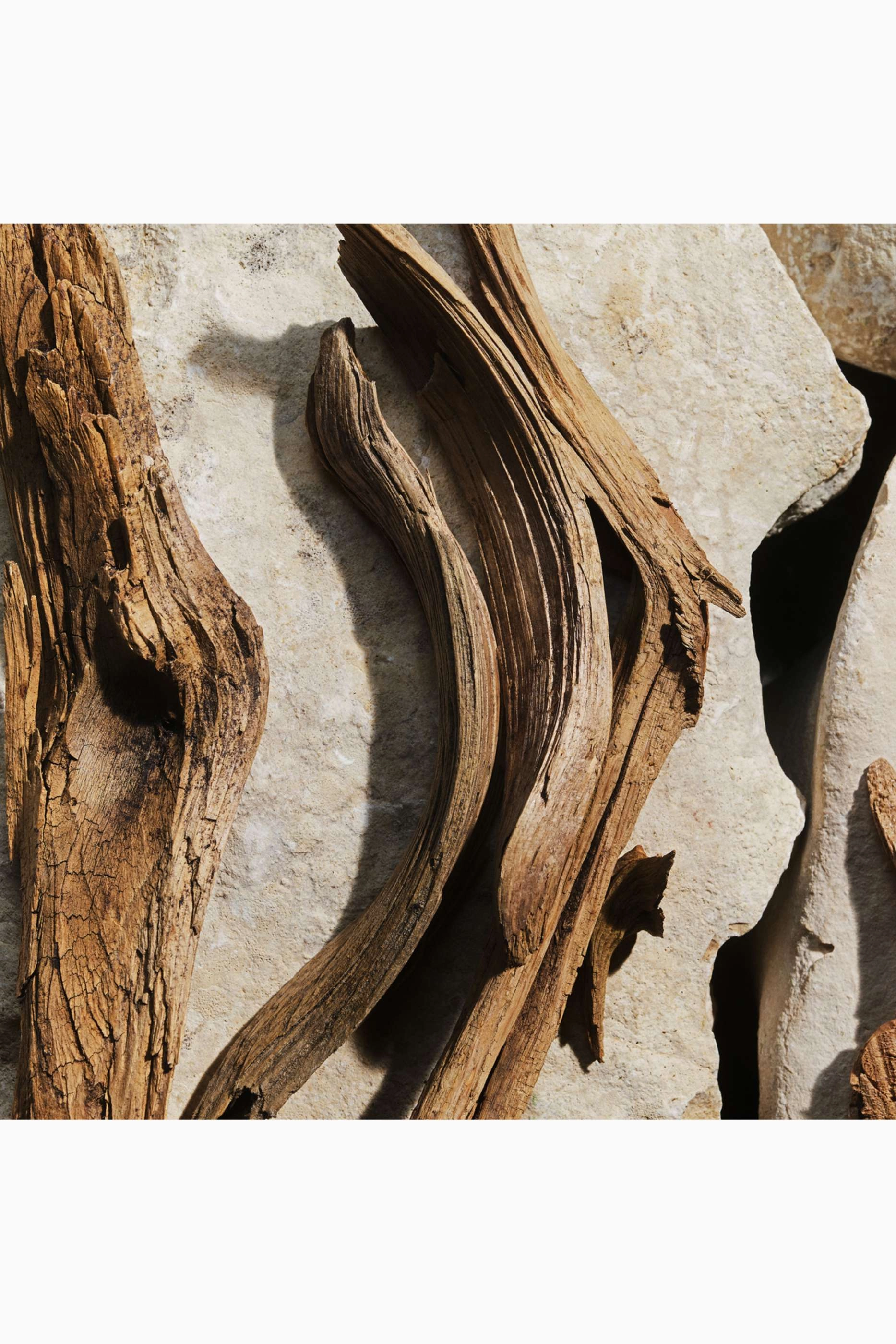 Light Blue Eau de Toilette 100ml