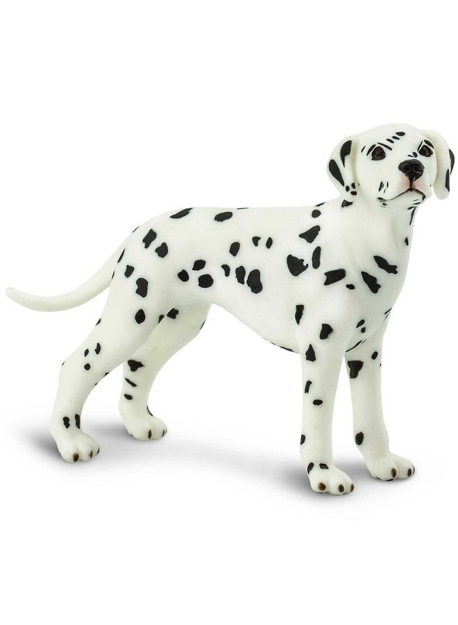Safari Ltd Dalmatian Figurine - 3.5" Plastic Dog