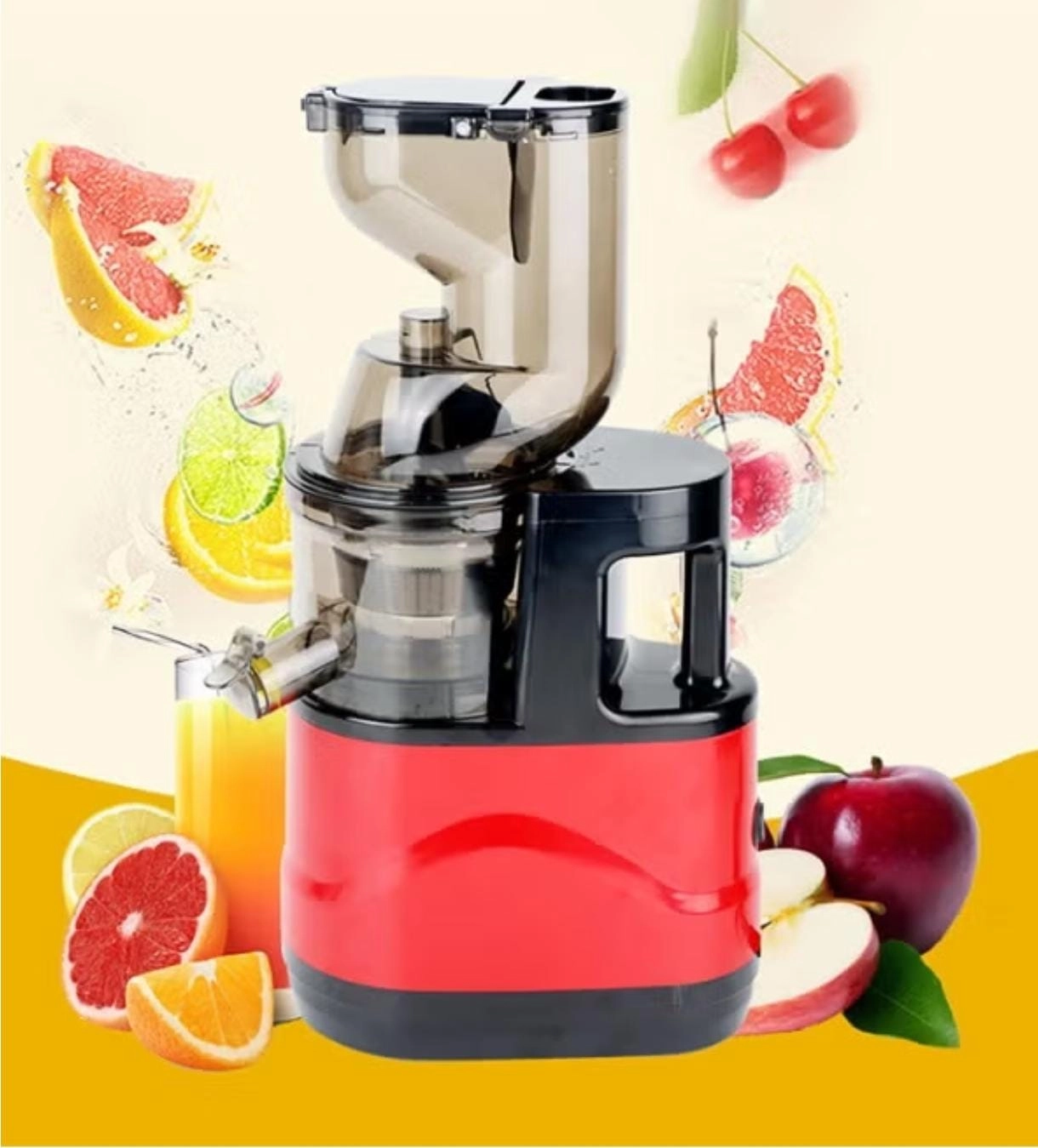 Professional Whole Slow Juicer